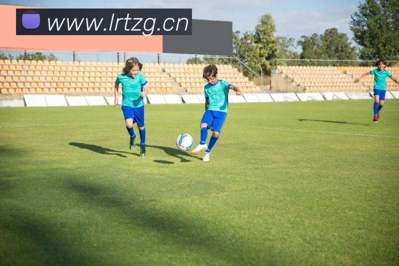 mk体育官网中国官方网平台生态图